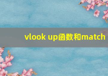 vlook up函数和match